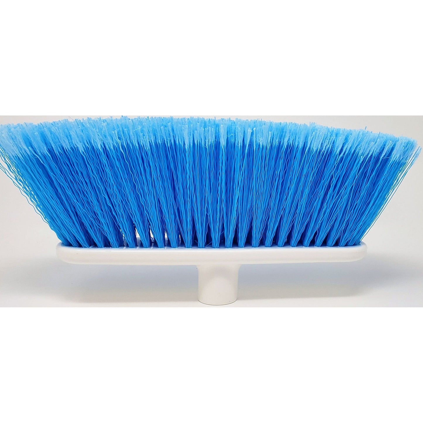 Blue bristles broom